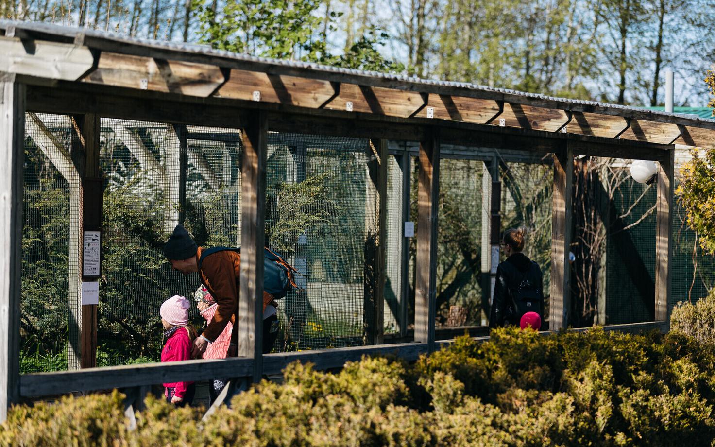 Таллиннский зоопарк.