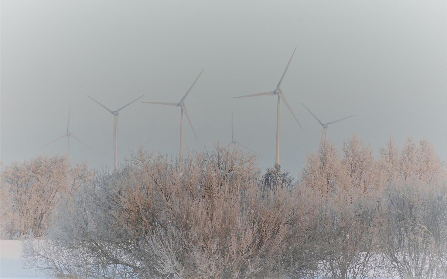 Mockiai tuulepark Leedus.