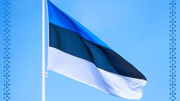 Estonian flag.