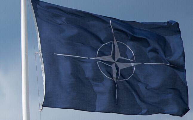 NATO battle group's military parade at Tapa Army Base. April 20, 2017.