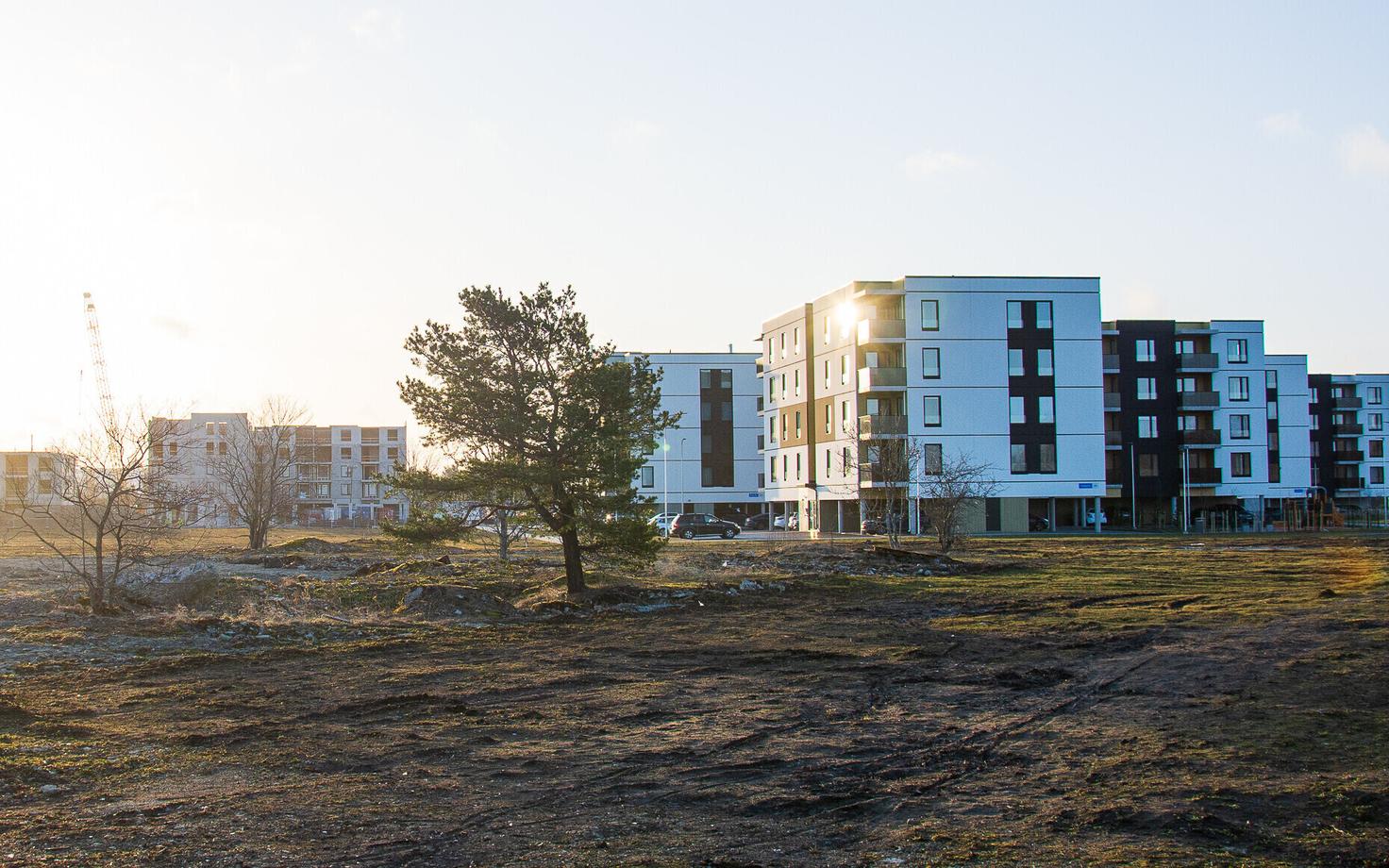 Новый жилой массив в столичном районе Ласнамяэ.