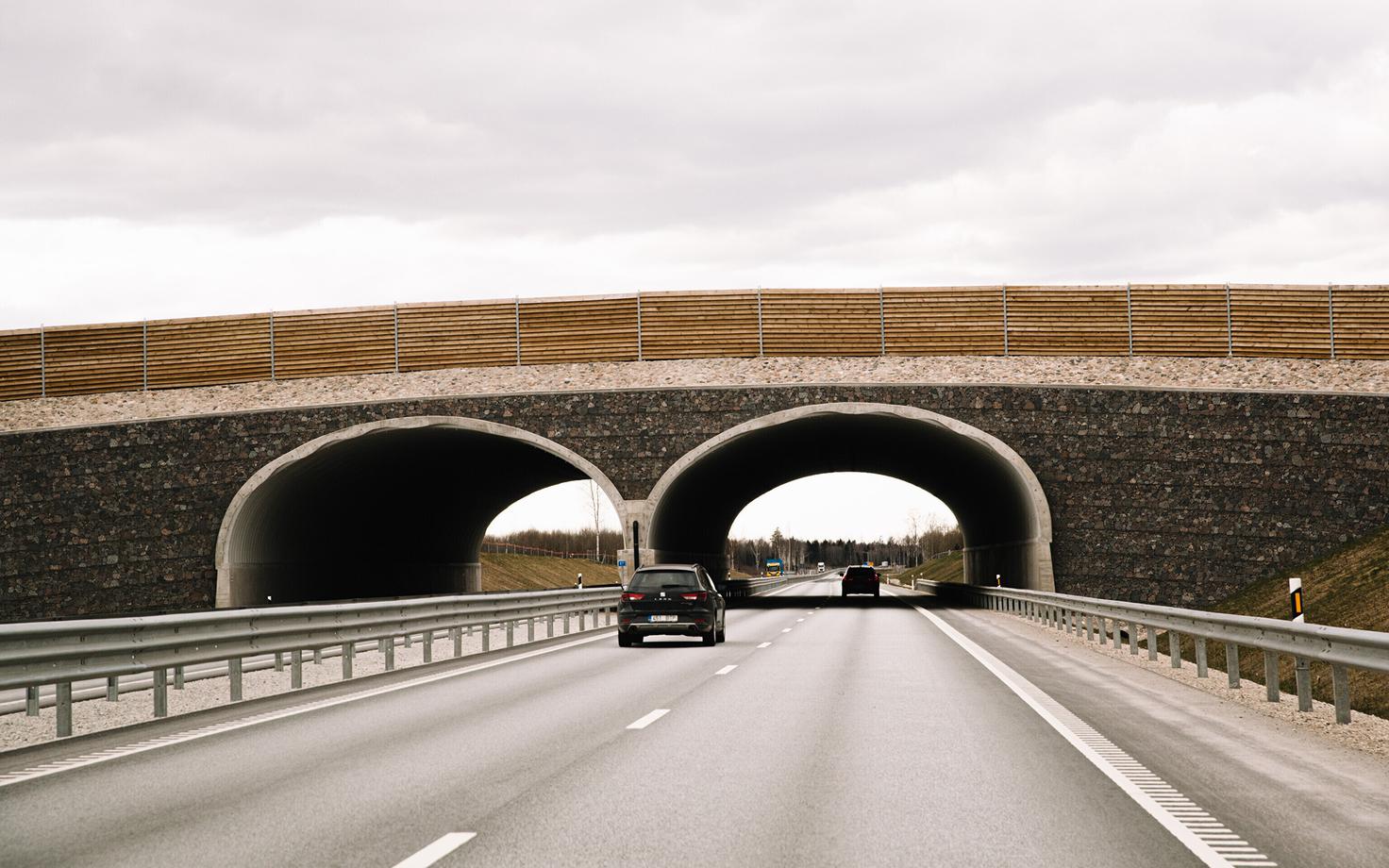 Шоссе Таллинн-Тарту.