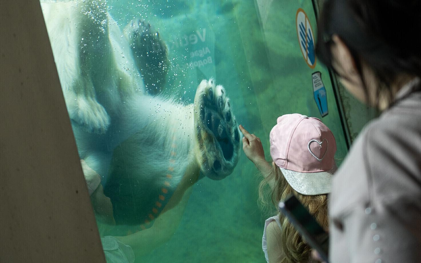 Таллиннский зоопарк.