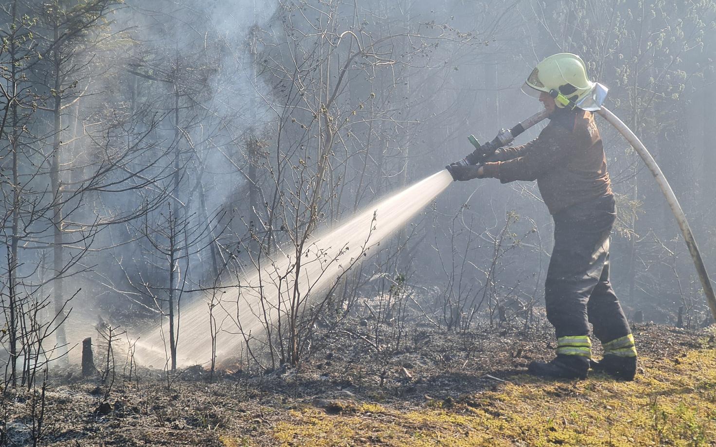 Päästja metsapõlengut kustutamas.