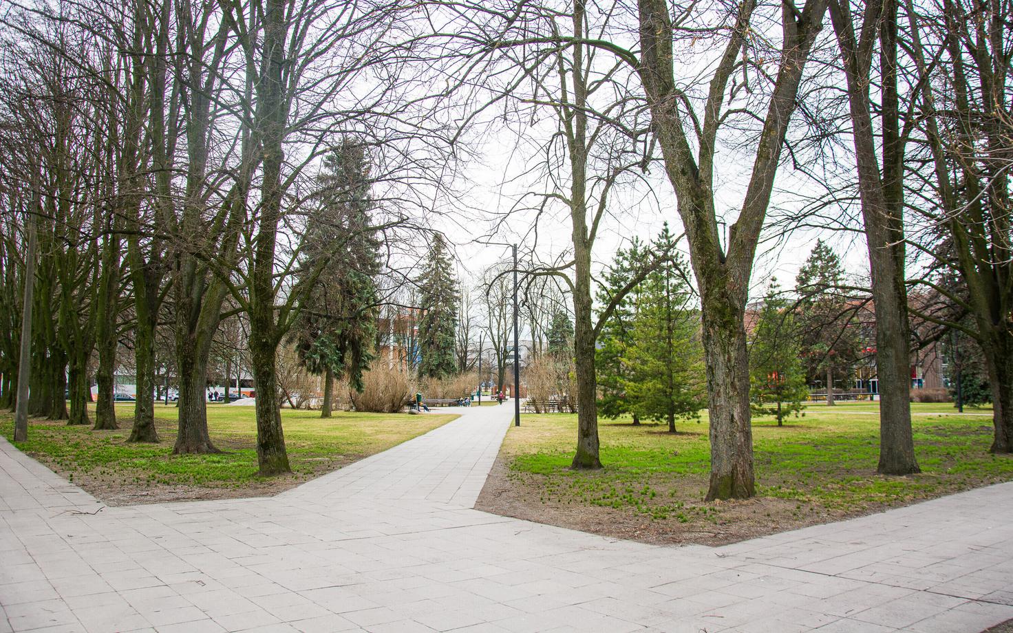 Парк в центре Тарту, где появится новый культурный центр SÜKU.