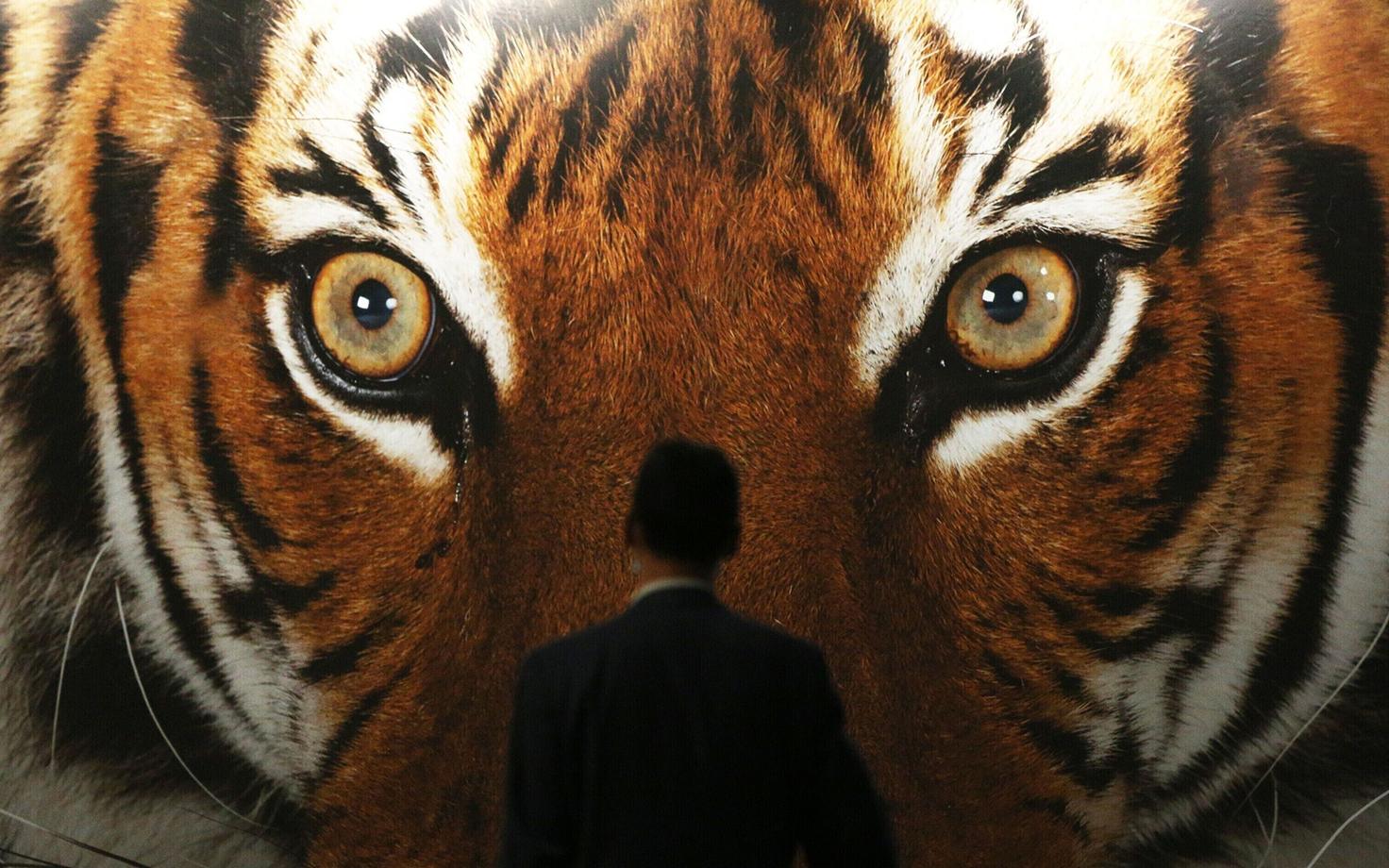 Plakat IUCN-i kongressilt Pariisis.