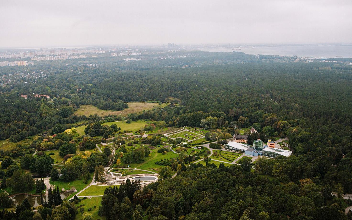 Вид с Таллиннской телебашни.