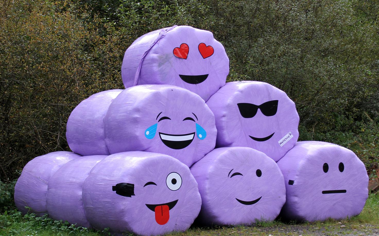 Nüüdseks on väikesed piltsõnad moodsas keelekasutuses kanda kinnitanud.