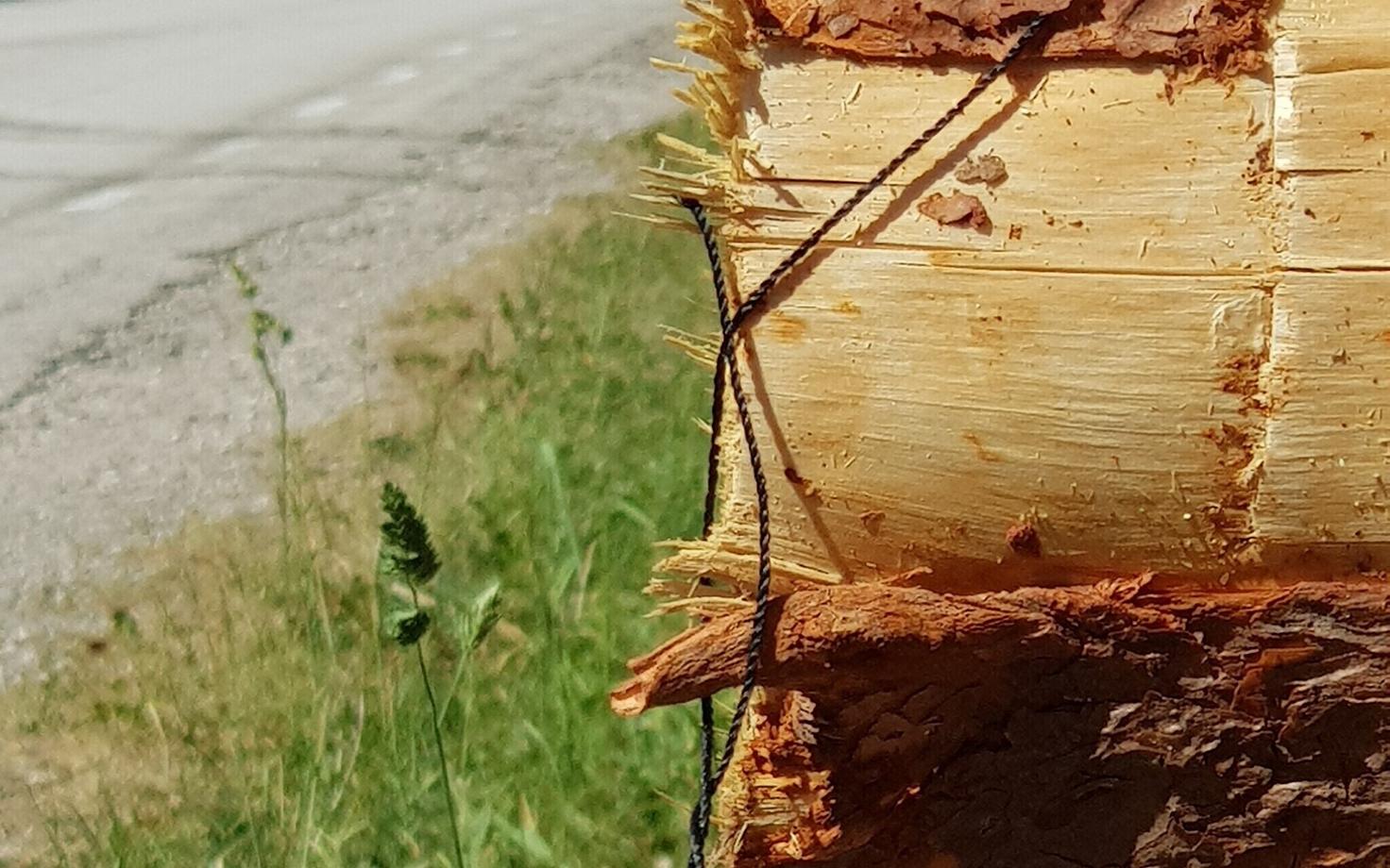 Biomassi toormeks on väheväärtuslik puit.