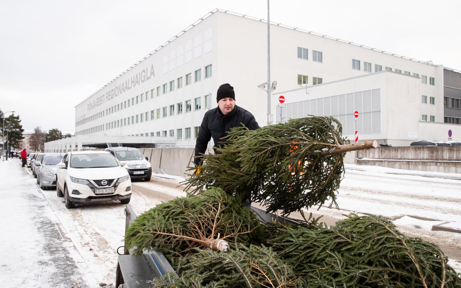 RMK gifted 106 Christmas trees to Estonian hospitals this Christmas.