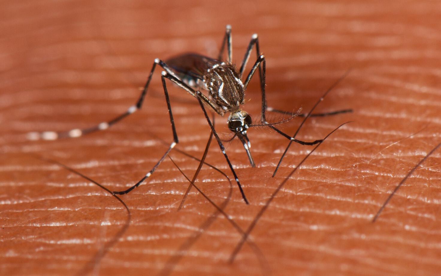 Punaste riiete kõrval leidub punakat pigmenti mis tahes nahavärviga inimeste nahas.