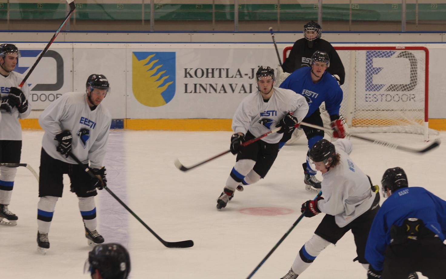 Сборная Эстонии по хоккею.