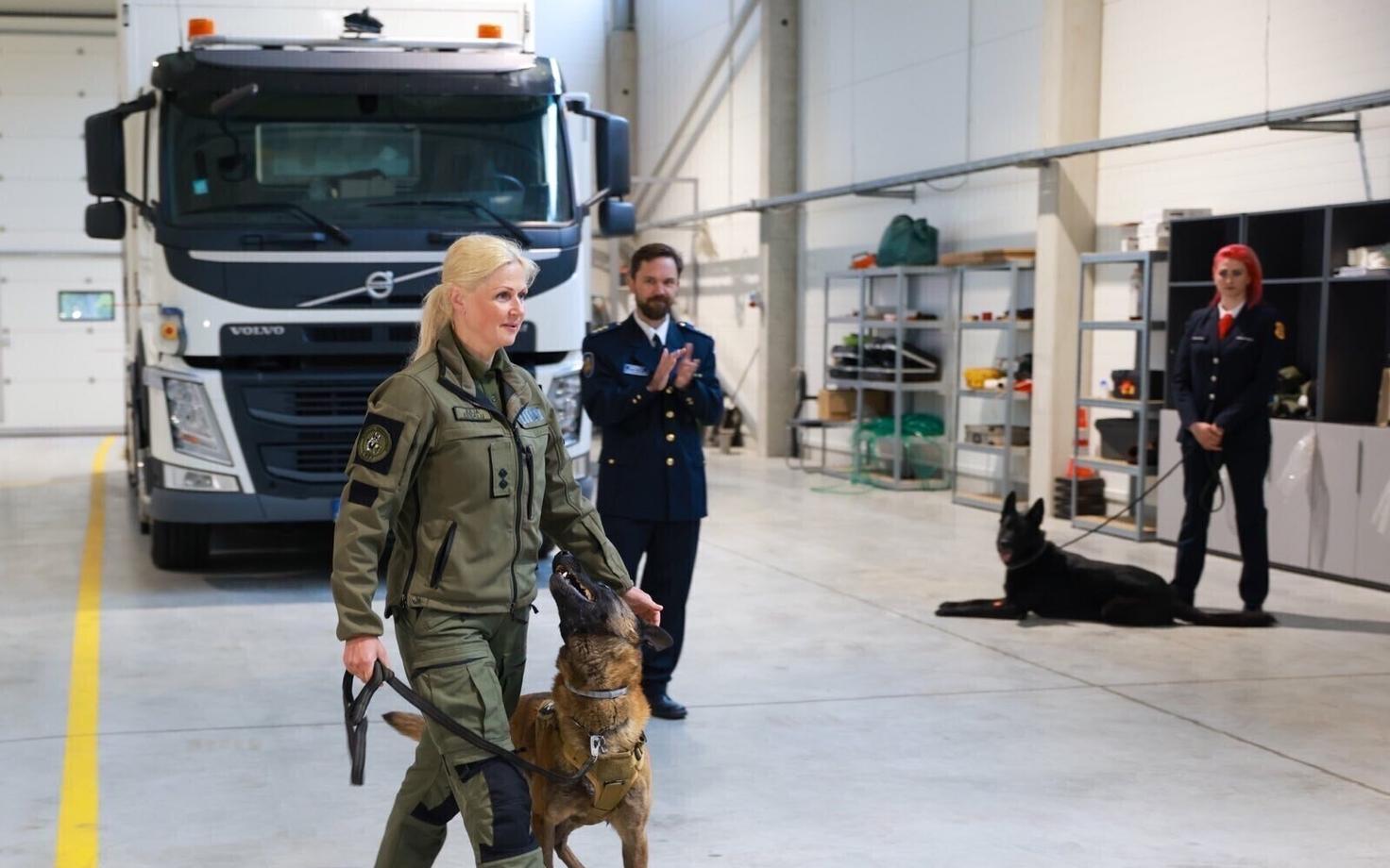 Служебная собака.