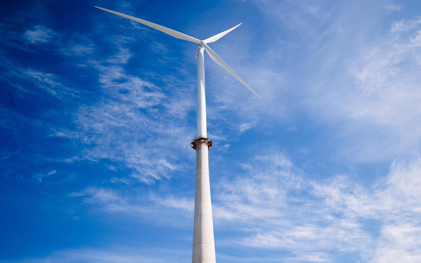 Ветропарк в Айду.