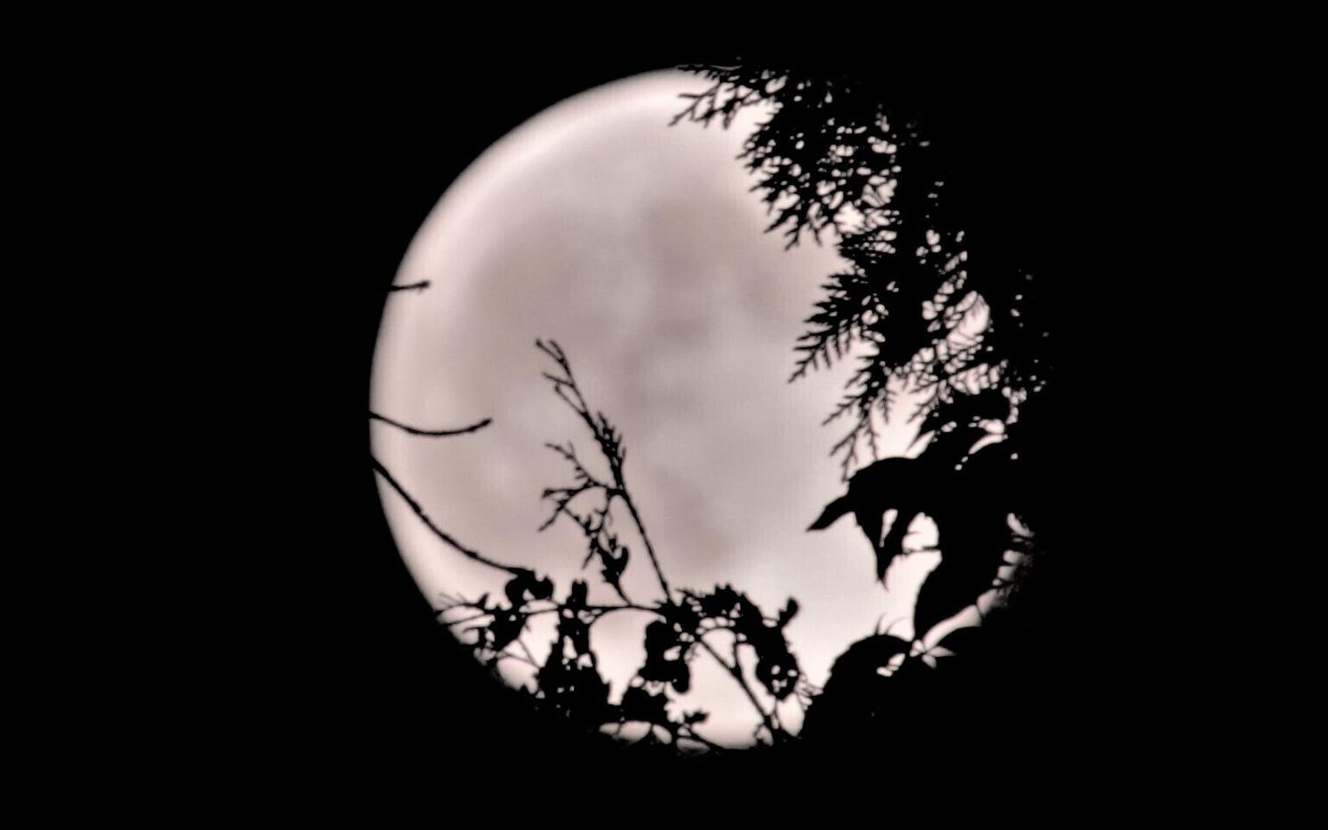 Leid viitab, et Kuu päris oma väärisgaasid Maalt ajast, kui kaks taevakeha kunagi veel üks olid.