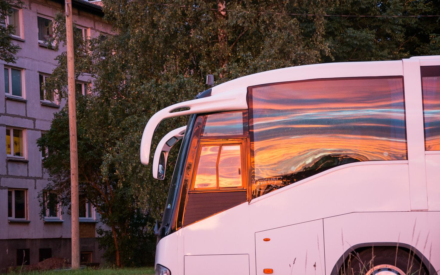 Bus.