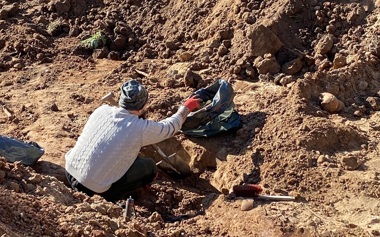 Раскопки братских могил в Вийратси.