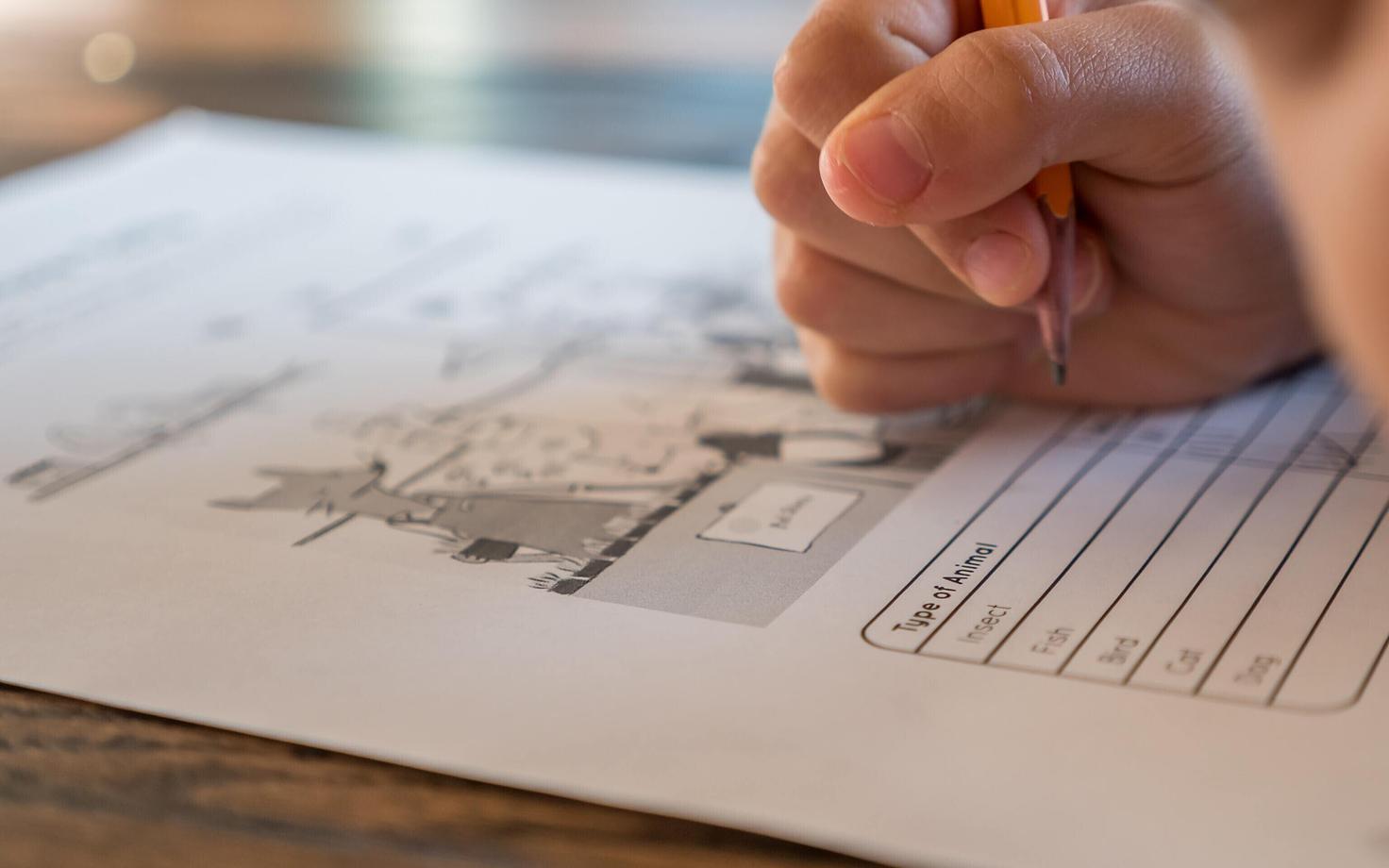 Иллюстративное фото