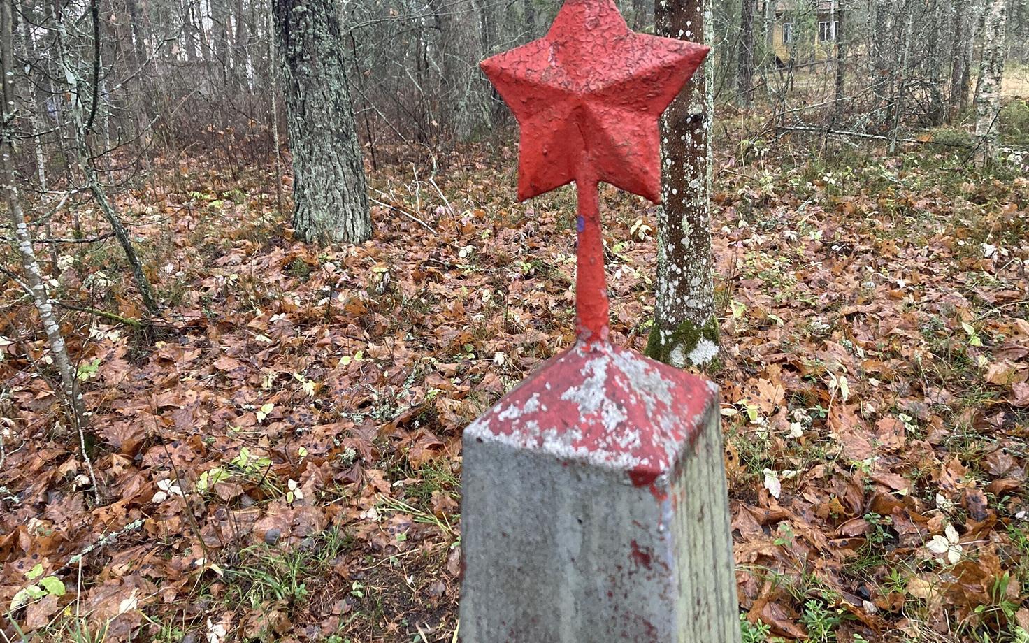 Иллюстративное фото.