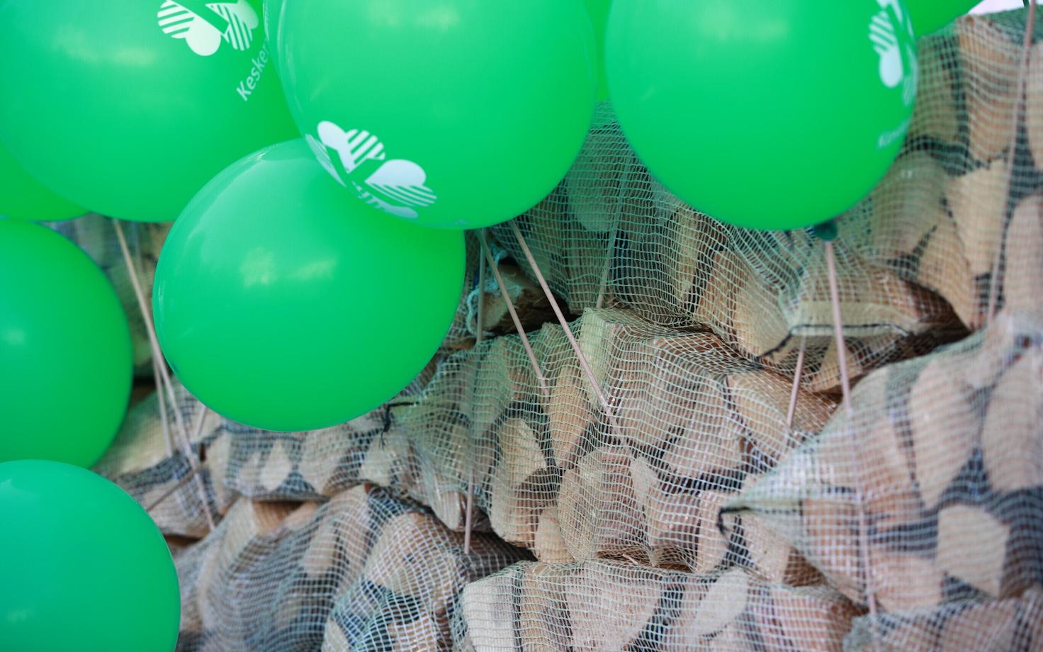 Демонстрация Центристской партии.