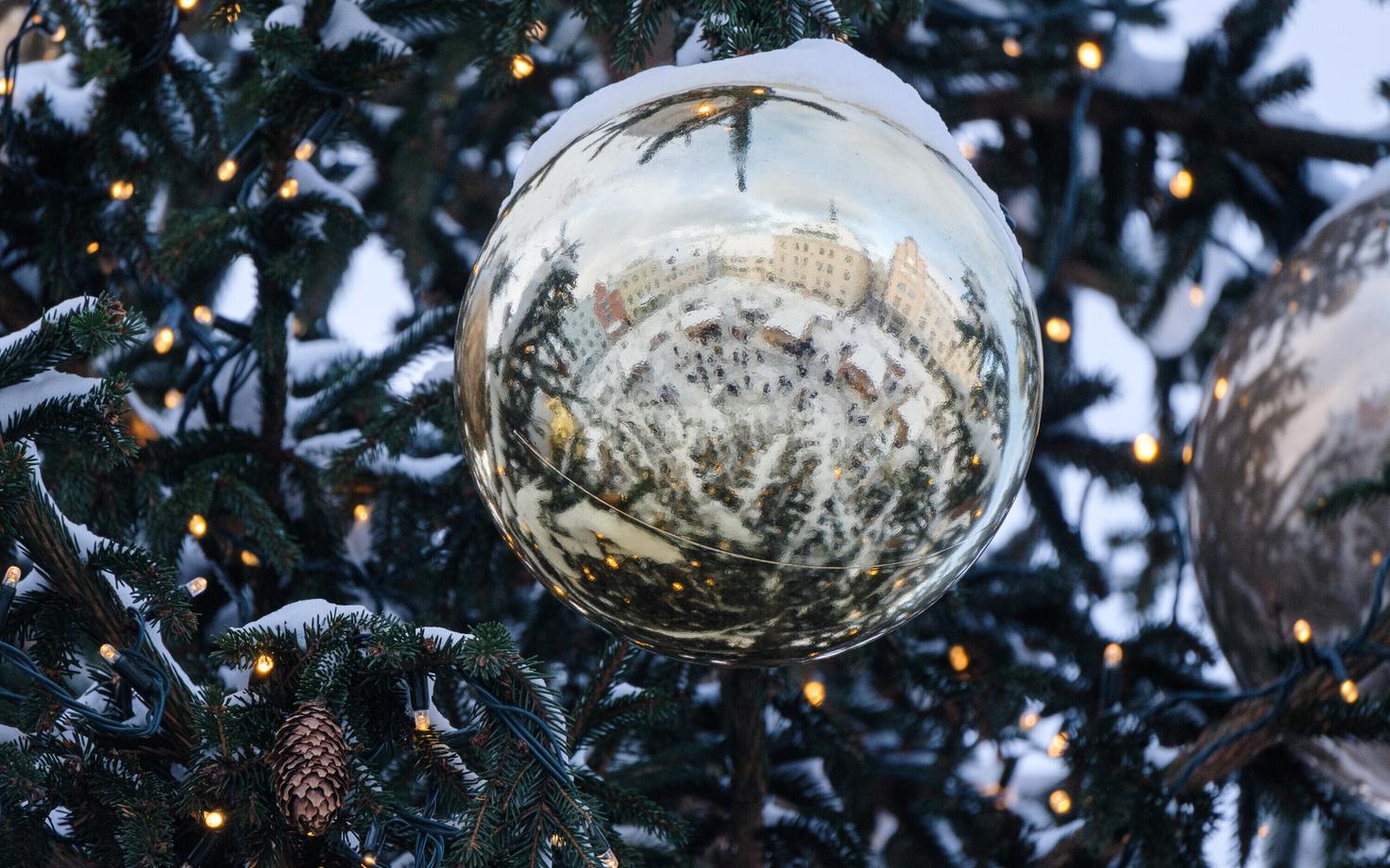 Рождественская елка на Ратушной площади Таллинна.