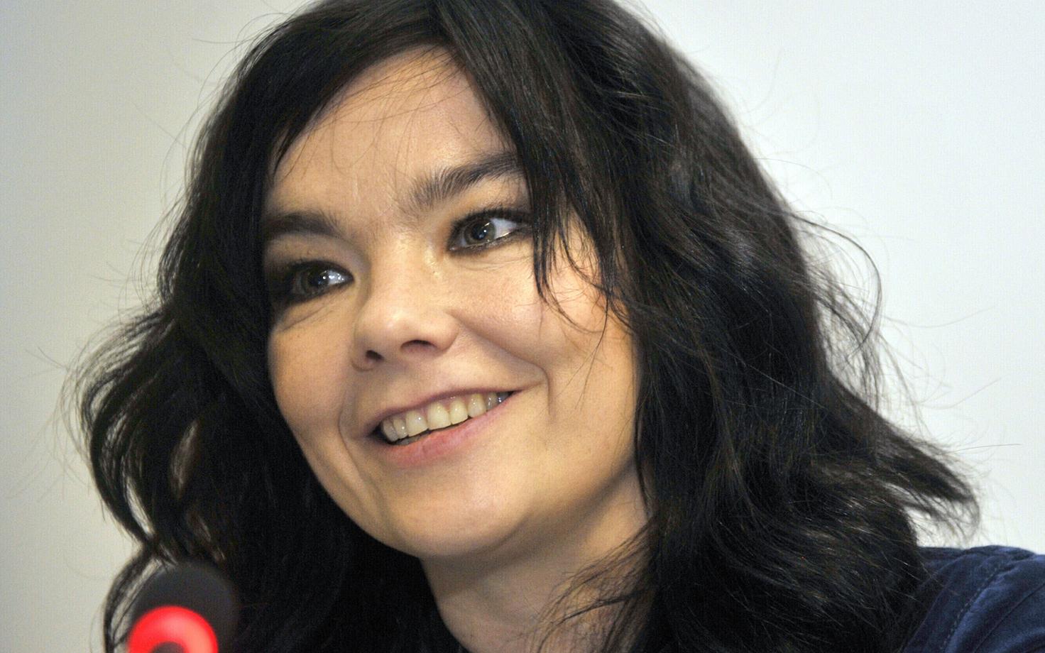 Björk aastal 2008.