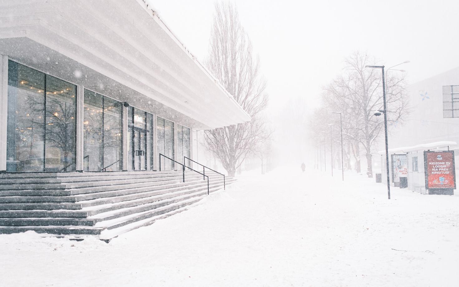 Снегопад и метель в Таллинне.