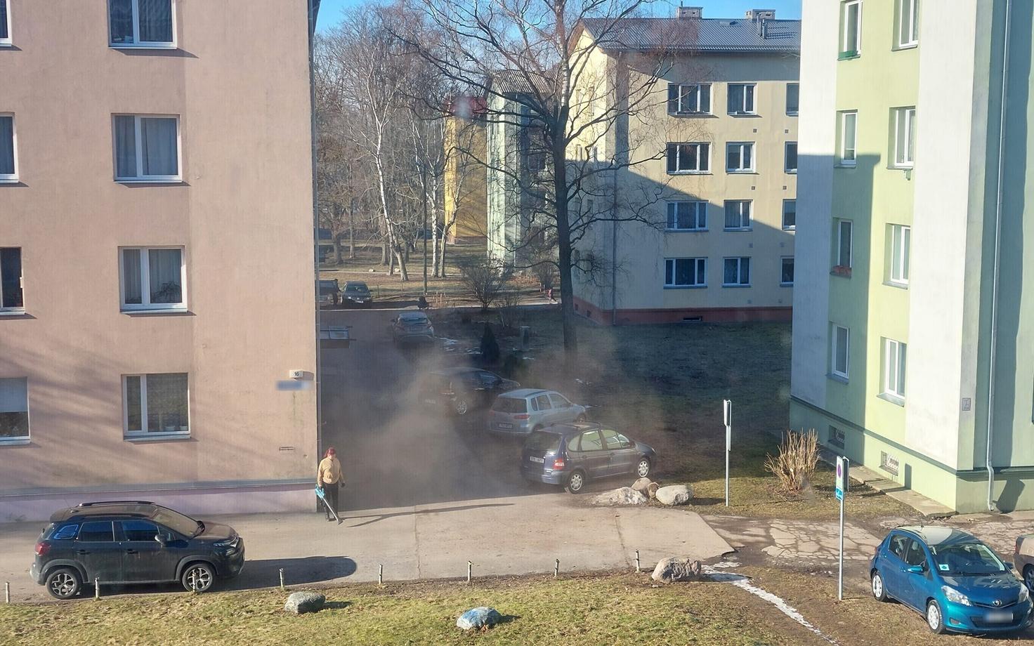 Фотография жителя района Пыхья-Таллинн.