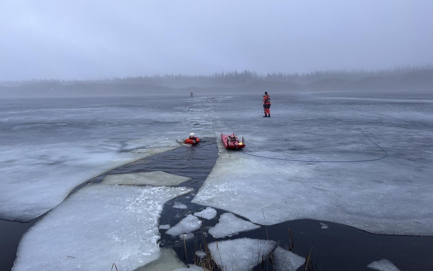 Спасение лося в Айду.