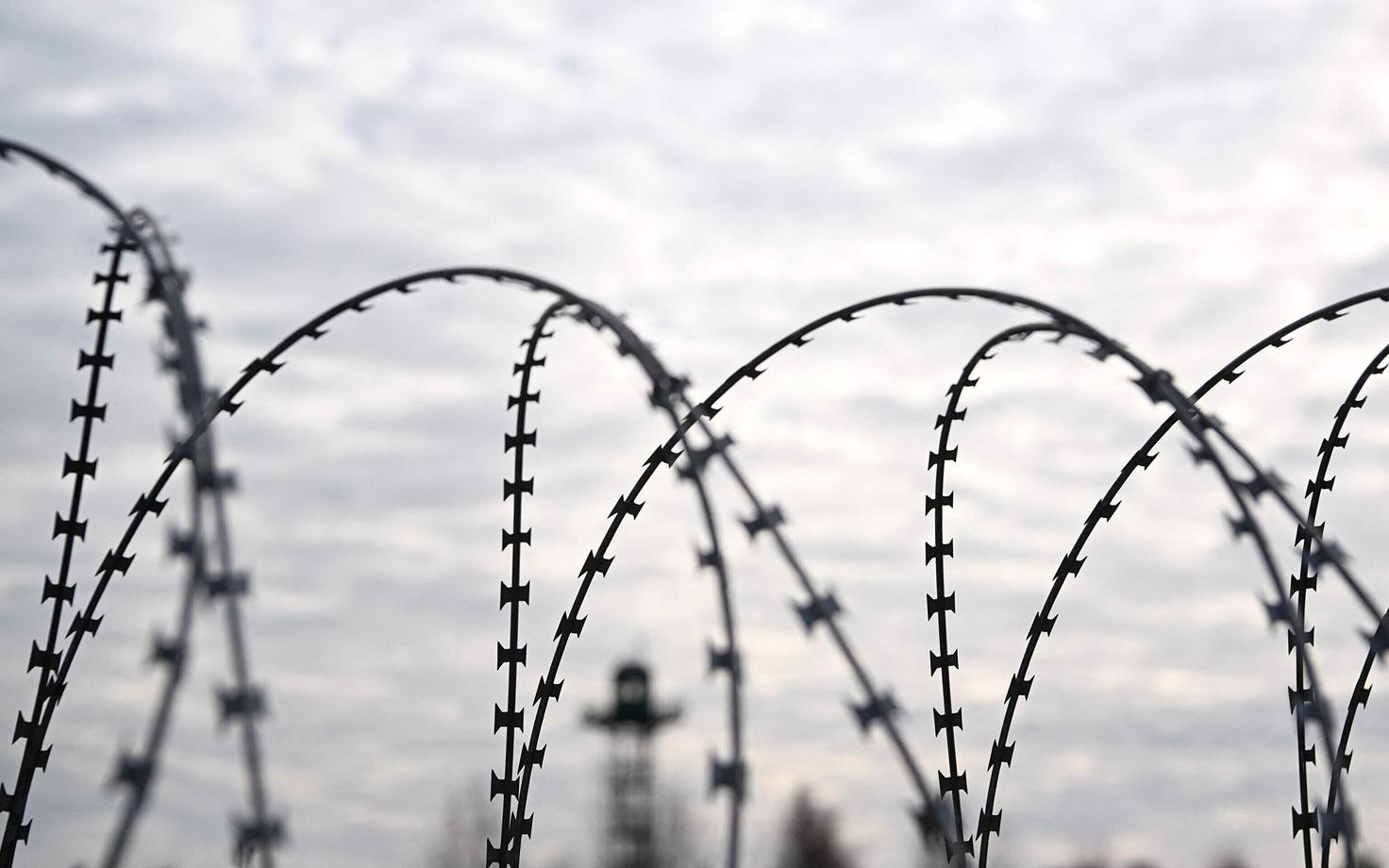 Колючая проволока.