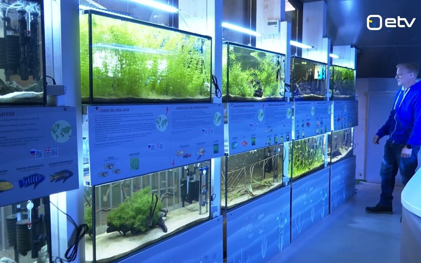 Дом природы