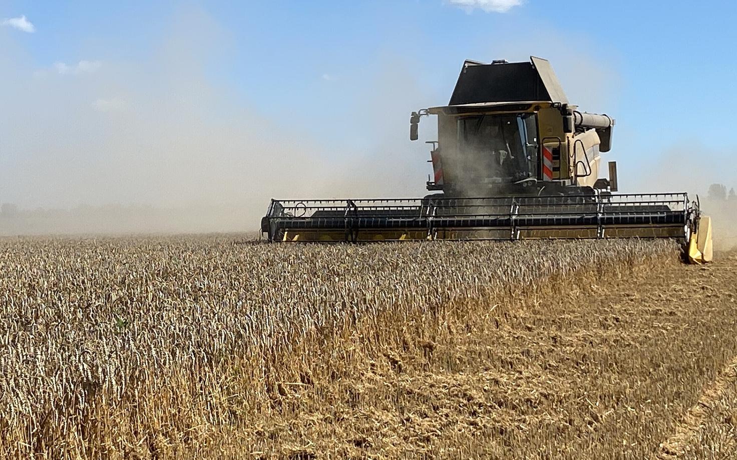 В этом году фермерам придется работать в условиях четырехкратного повышения цен на удобрения.