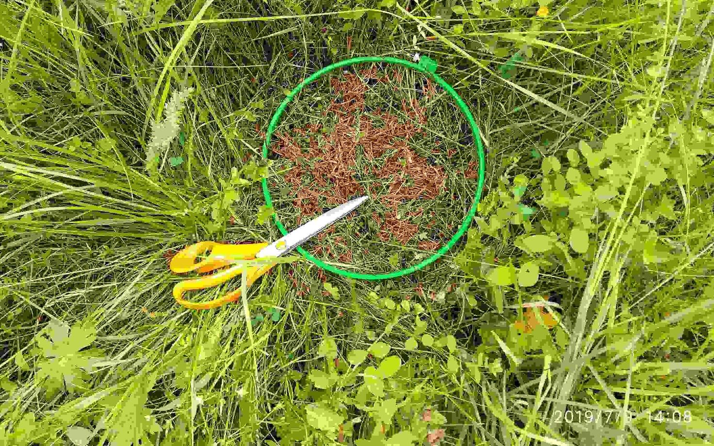 Biomassi mõõtmine.