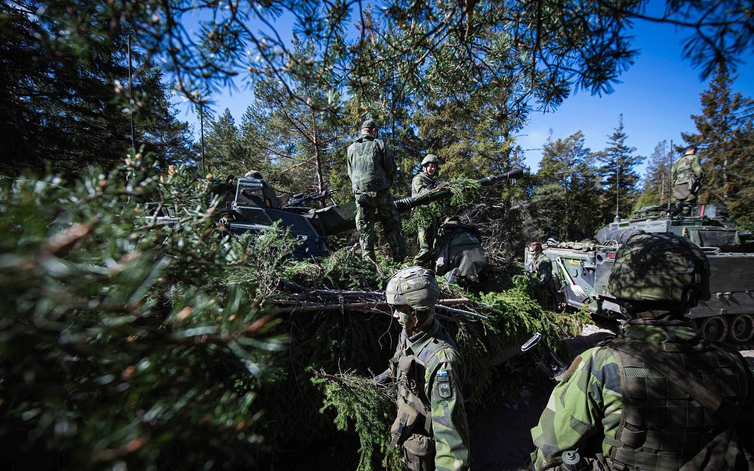 Шведские военные.