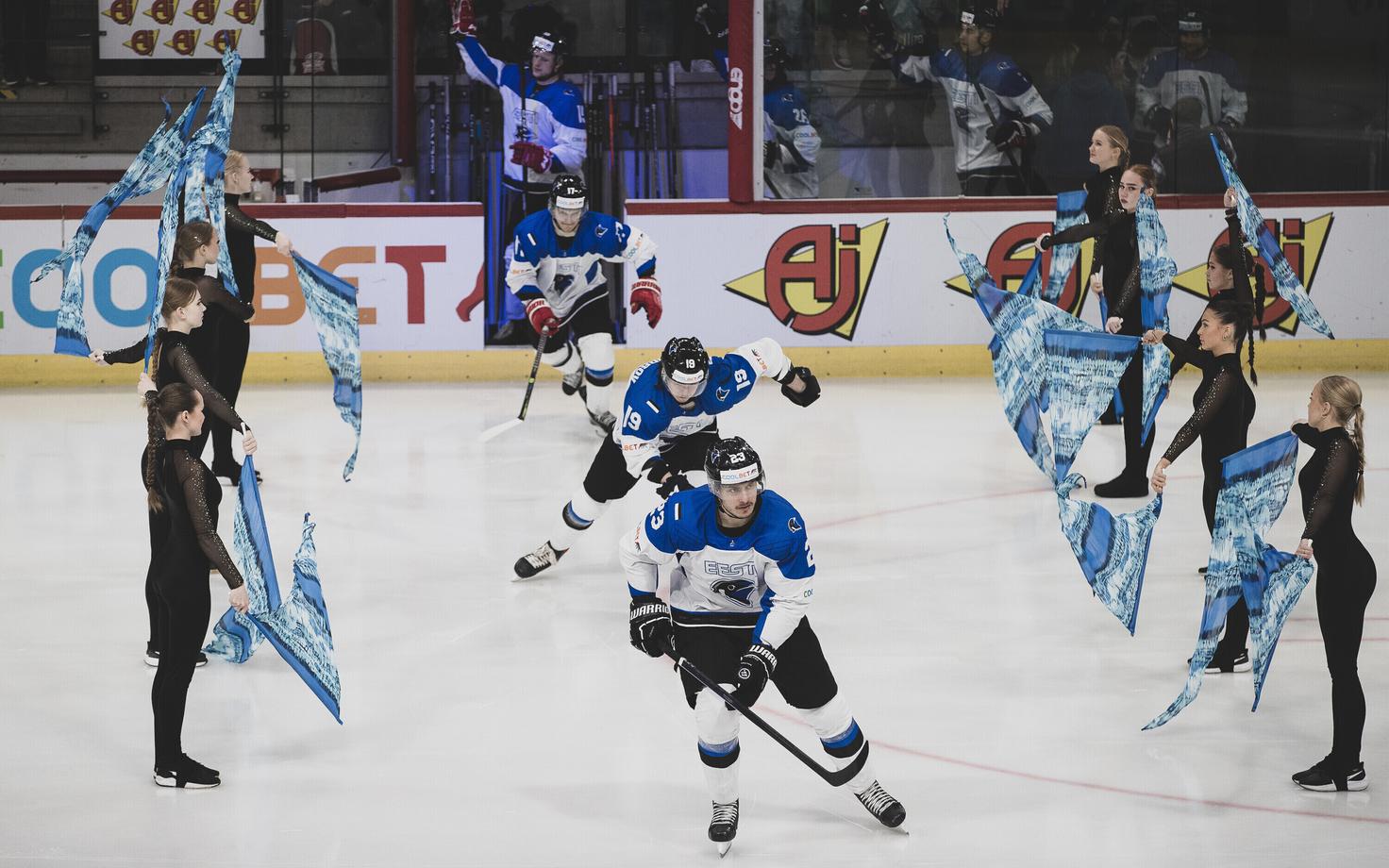 Jäähoki MM-i esimese divisjoni B-grupi turniir: Eesti - Ukraina