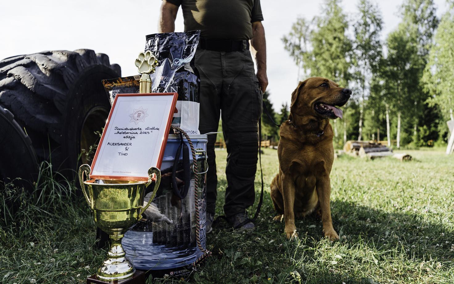 Главный победитель - пёс Тимо.