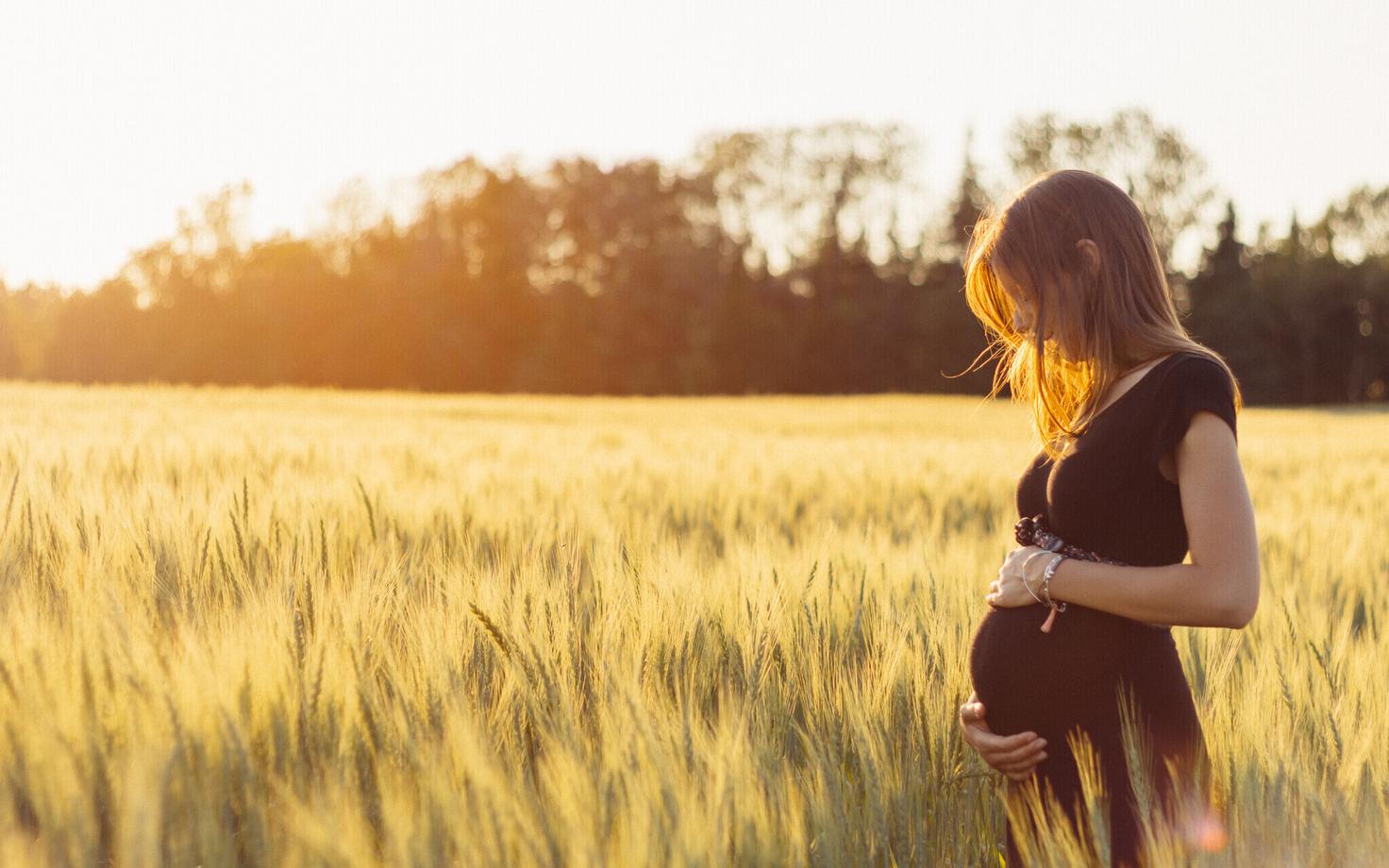 Suvel kogutud munarakkude viljastamine päädib tõenäolisemalt elussünniga.