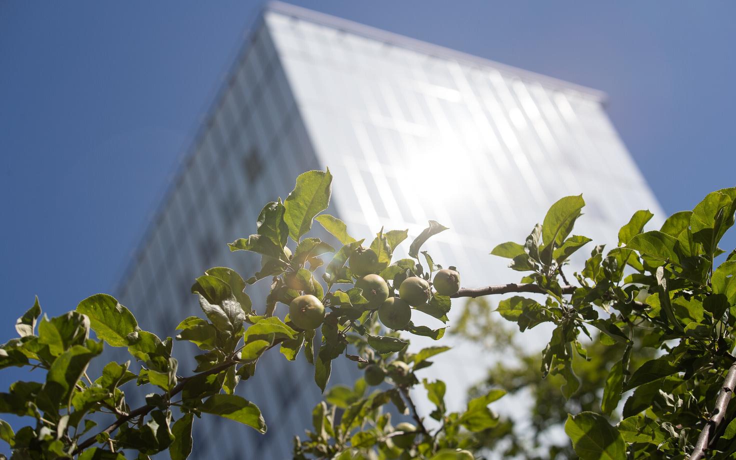 Kliimaministeerium ministeeriumite ühishoones