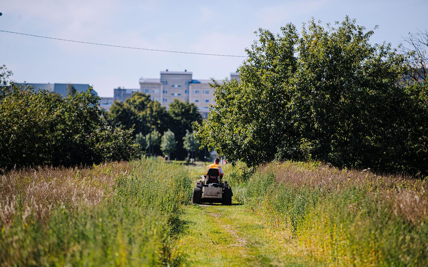 Lasnamäel alustati niitmistöödega