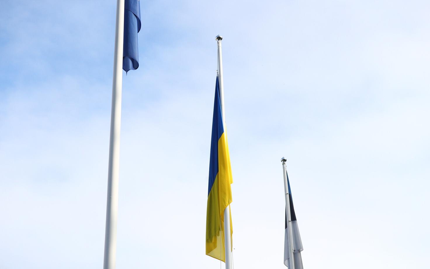 Ukraine National Day flag ceremony in Kadriorg.