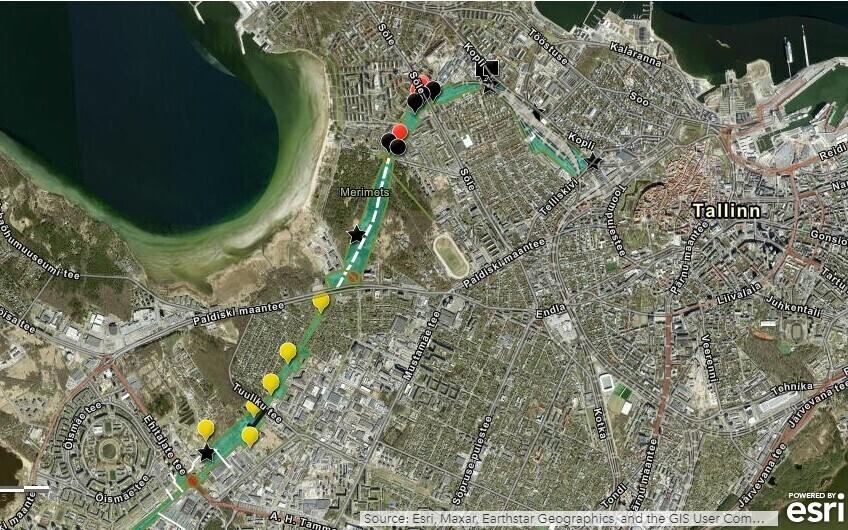 Putukaväila kavand.