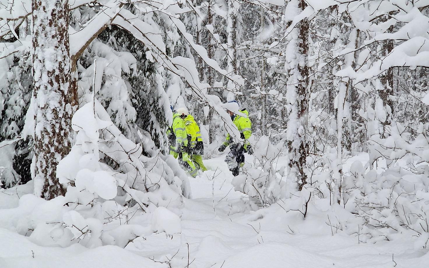 Elektriliinide parandustööd Saaremaal.