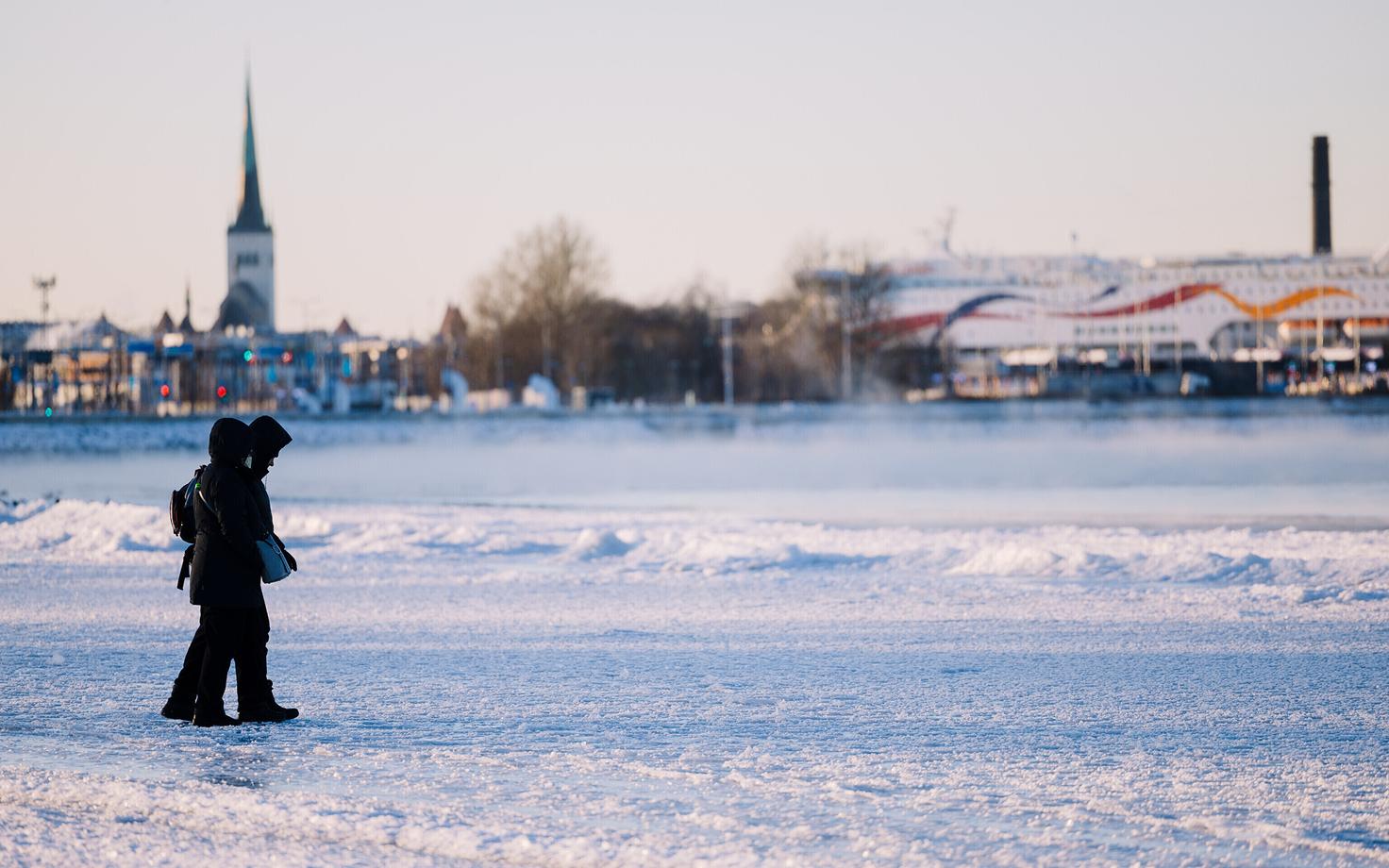 Зима в Таллинне.