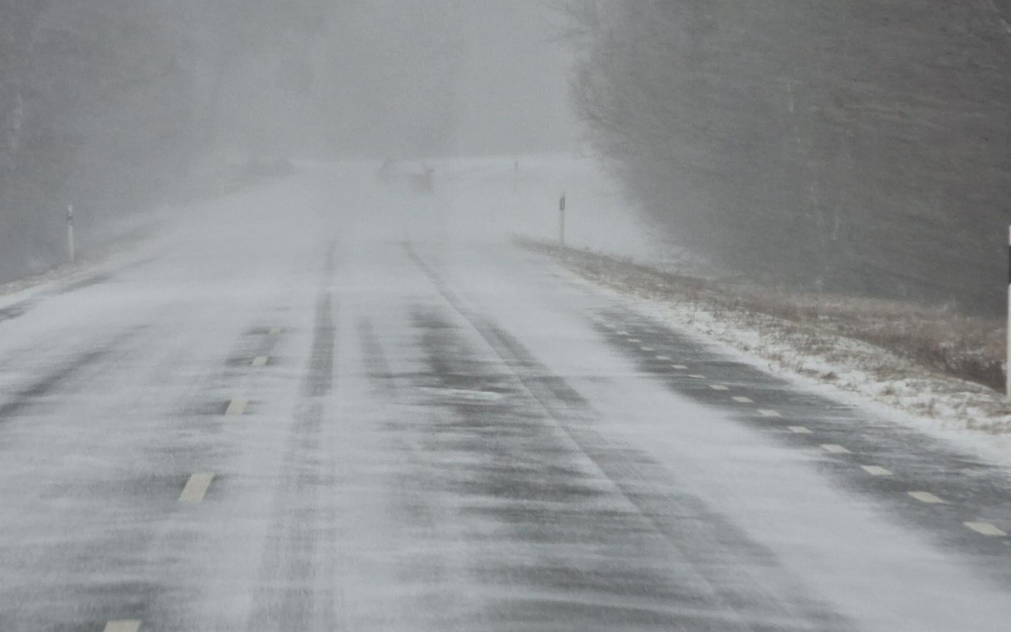 Иллюстративное фото.