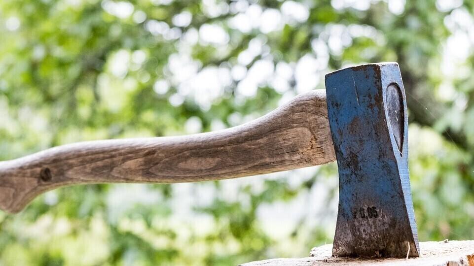 Топор. Иллюстративная фотография.