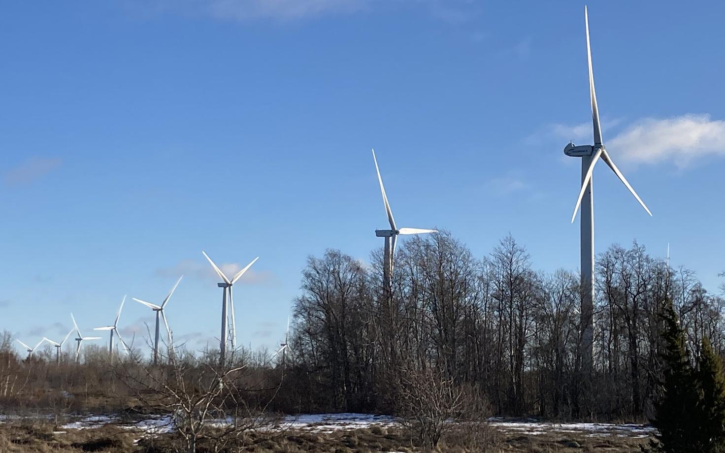 Ветропарк недалеко от Палдиски.
