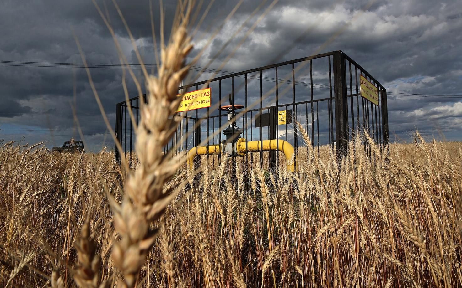 Nisupõld Gazpromi gaasitoruga Moskva oblastis Venemaal.