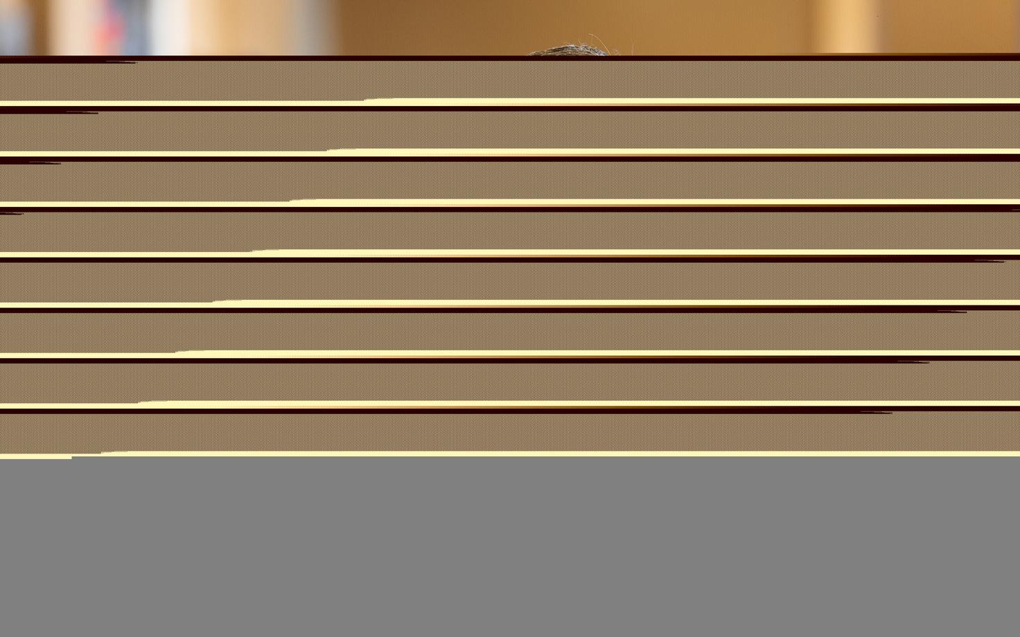 Андре Ханимяги.