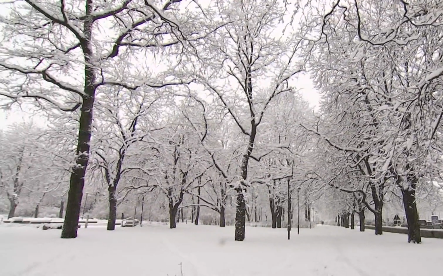 Снежная погода.