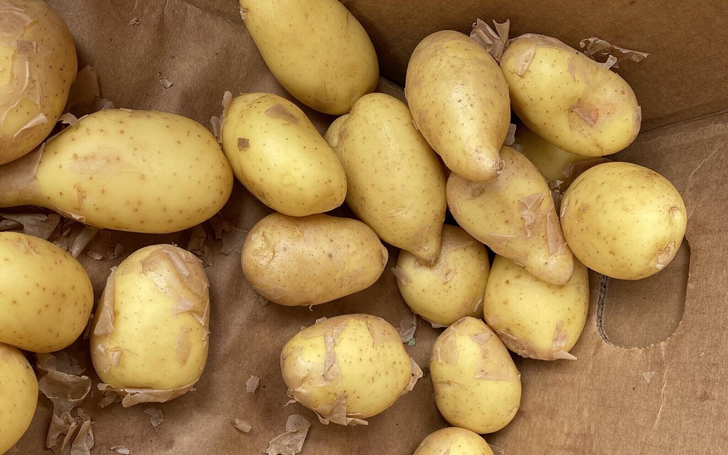 Varane kartul Paide turul.